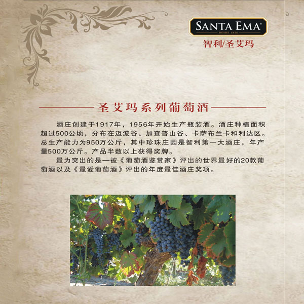 santaema圣艾玛安培士1号干红葡萄酒